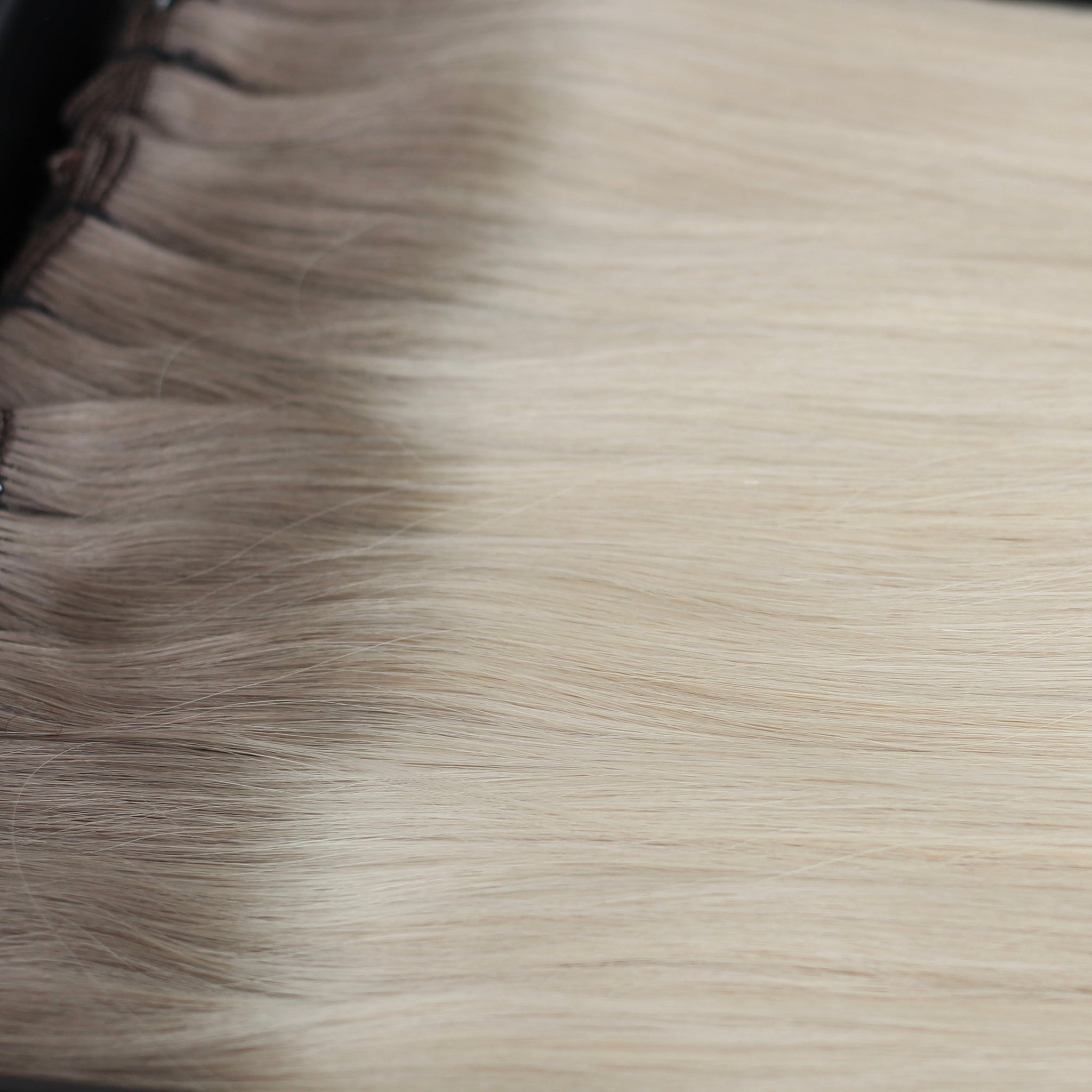 Rooted Platinum Ash Blonde - Tape Ins