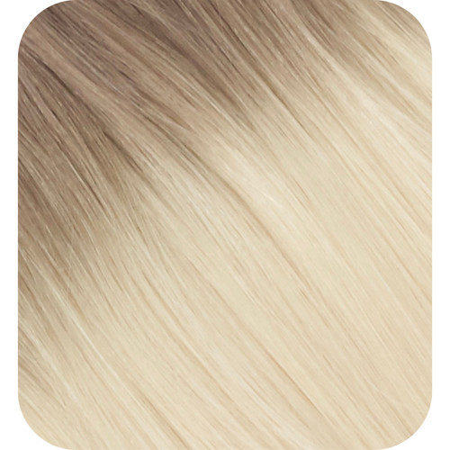 Rooted Ice Blonde