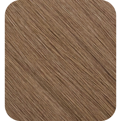 Soft Brown