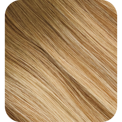 Rooted Summer Bronde Piano